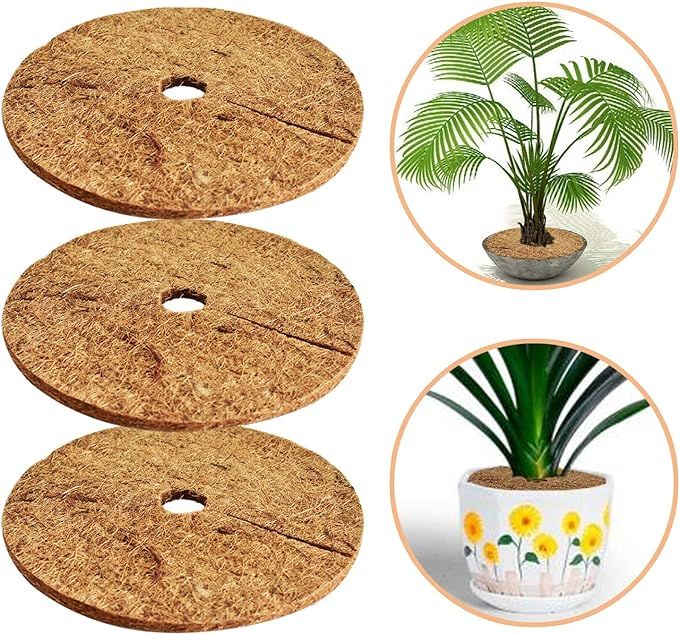 ZeeDix 3 Pcs Coconut Fibers Mulch Ring Tree Protector Mat, 24 Inch Coco Coir Tree Protection, Tre... | Amazon (US)