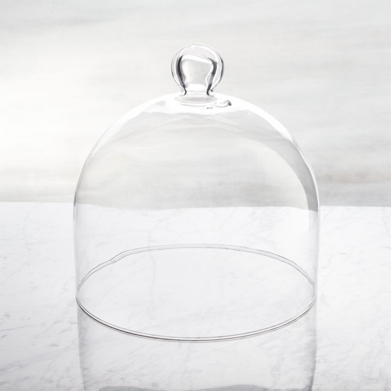 Glass Dome | Crate & Barrel