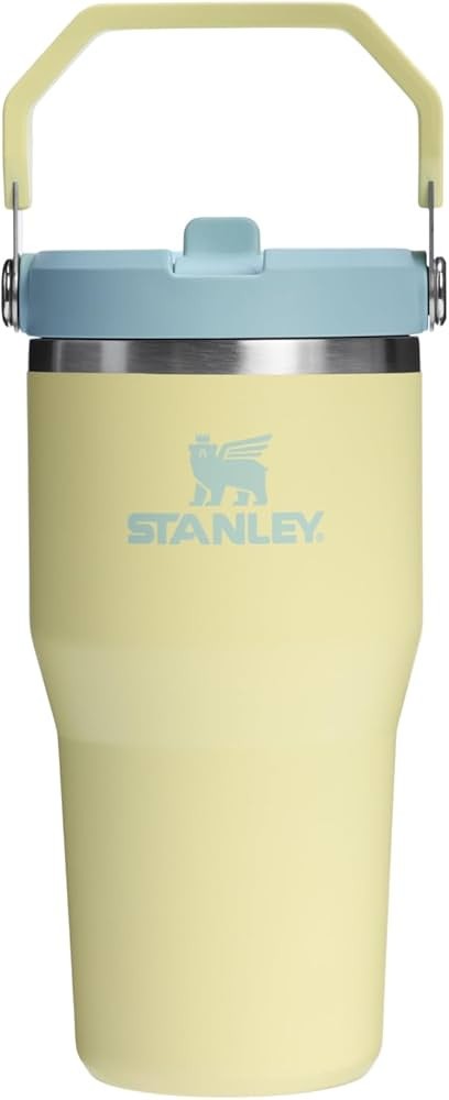 Stanley IceFlow 2.0 Flip Straw Tumbler with Handle 20 oz | Twist On Lid and Flip Up Straw | Leak ... | Amazon (US)