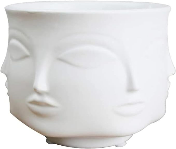 Poitemsic Personality White Ceramic Small Succulent Cactus Face Planter Head Face Flowers Plant P... | Amazon (US)