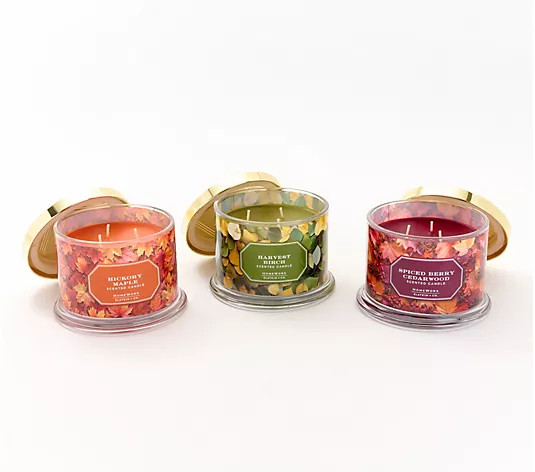HomeWorx by Slatkin + Co. S/3 14-oz. Autumn Woodland Candles | QVC