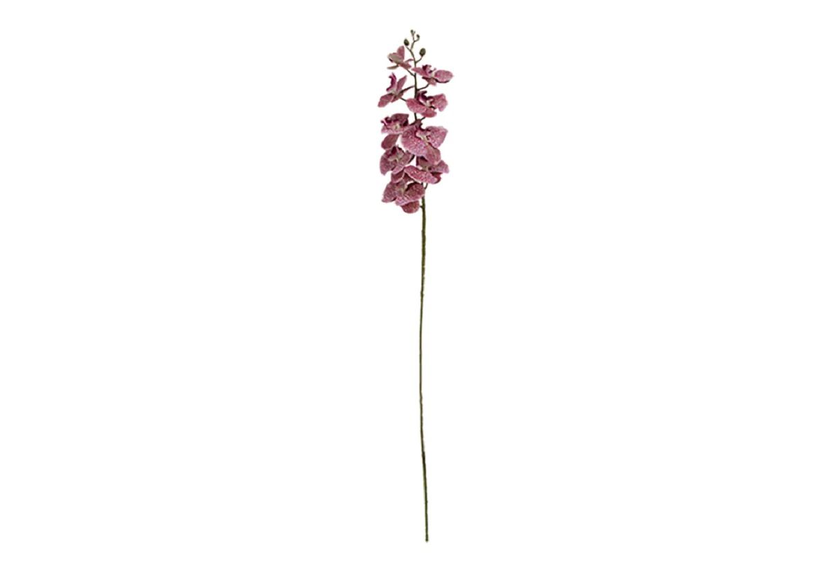 PINK ORCHID STEM | Alice Lane Home Collection