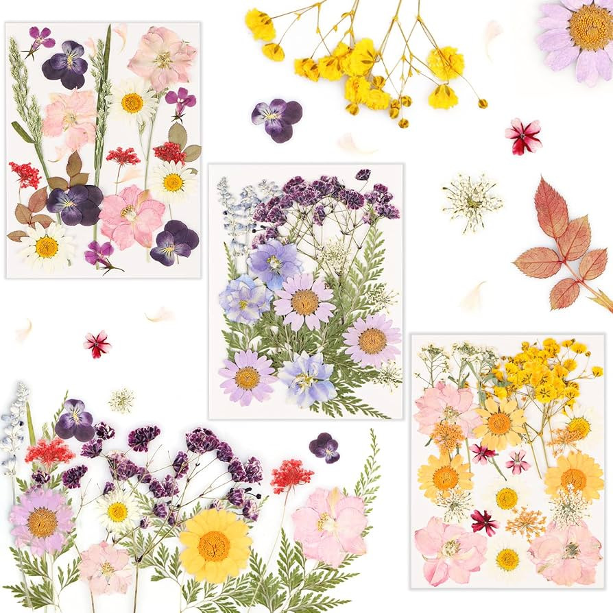 Marca: Generic | Amazon (IT)