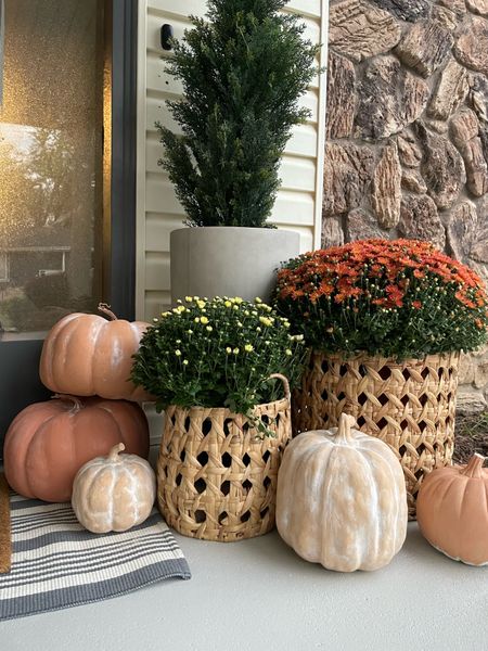 Fall Decor
I dressed up some pumpkins from Target. Easy and quick craft for autumn styling.

#LTKHalloween #LTKSeasonal #LTKHoliday