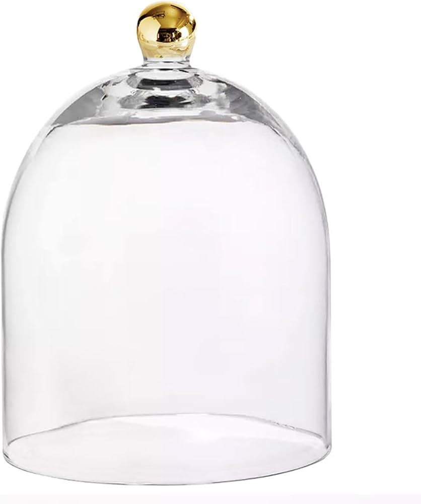 Santa Barbara Design Studio Glass Dome Food Cover Gold Knob Cloche, Small, Clear | Amazon (US)