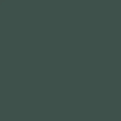 Crisp Romaine (686) - Paint Sample | Samplize