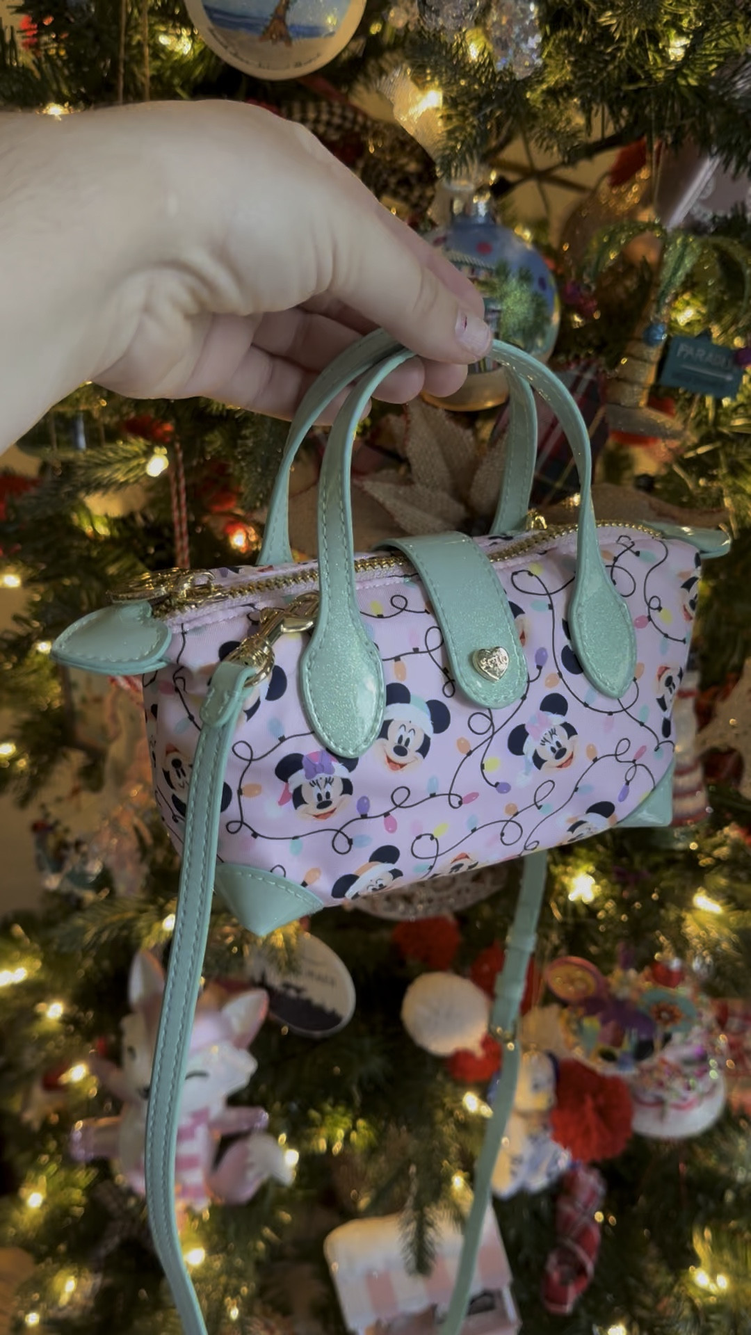 Stoney Clover Disney Holiday pouchette 🎄

#LTKHoliday #LTKItBag #LTKSeasonal