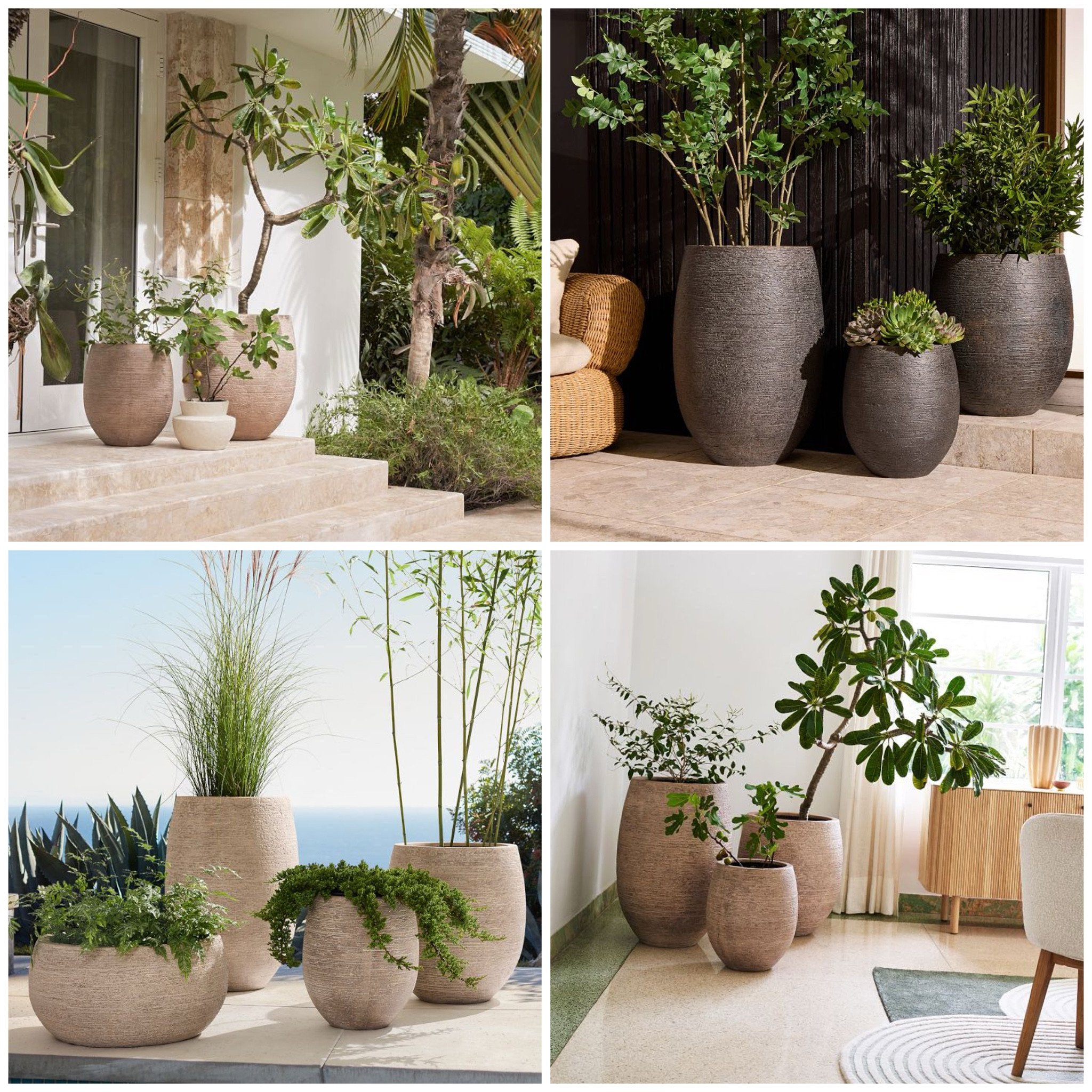 These best selling planters come in 3 beautiful colors! Textured stone is my favorite, but I love the textured charcoal so much too! 

#summer #planter #plants #fauxtree

#LTKhome #LTKstyletip #LTKU
