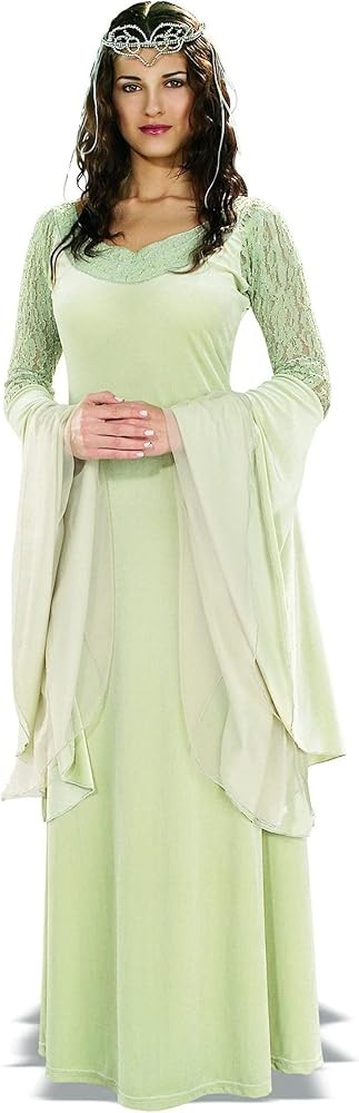 Rubie's Deluxe Queen Arwen Costume | Amazon (US)