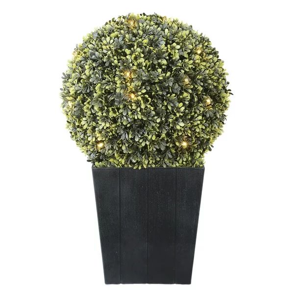 Better Homes & Gardens Lighted Round Topiary Plant, with Warm White LED Lights - Walmart.com | Walmart (US)