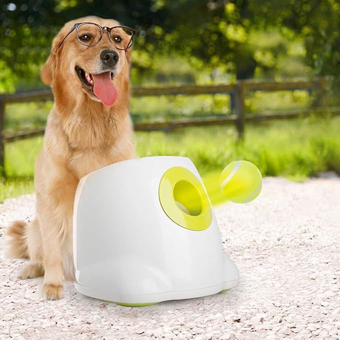All for Paws Interactive Automatic Ball Launcher for Dogs, Dog Tennis Ball Throwing Machine for S... | Amazon (US)