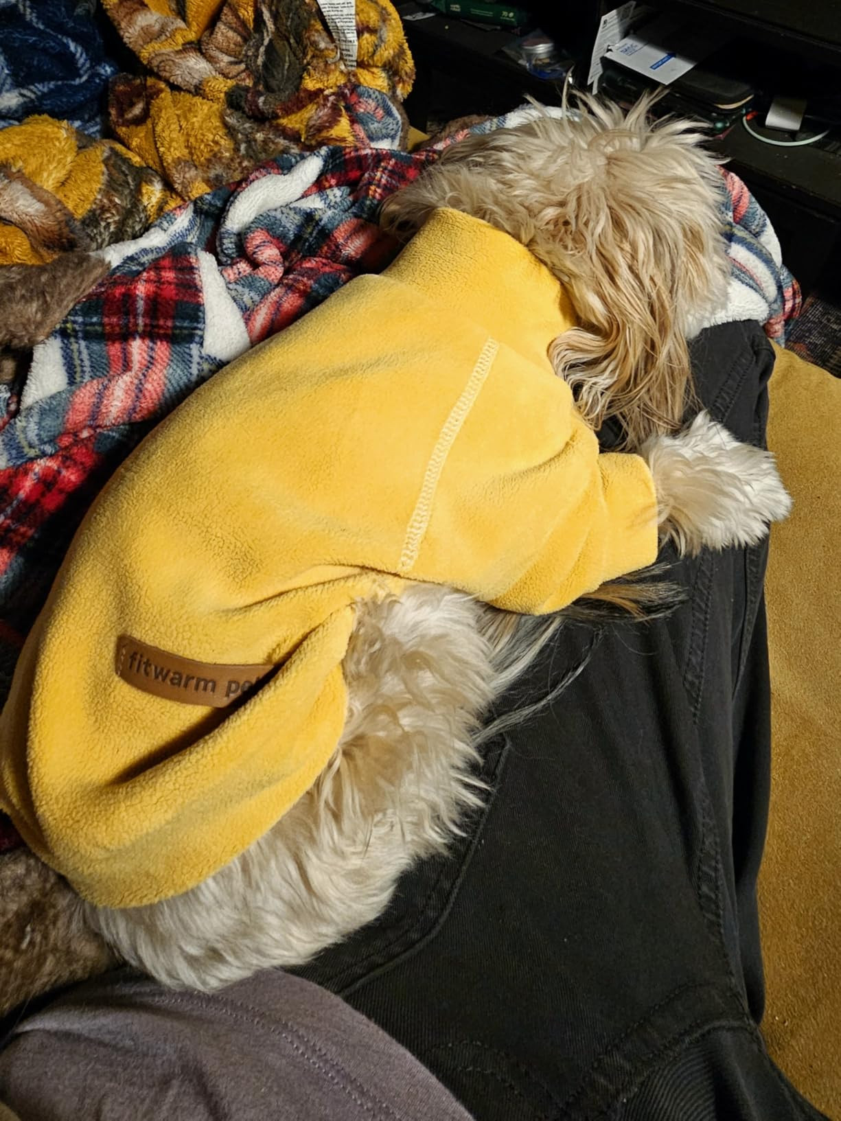 Fitwarm 3 Pack Classic Fleece Sweater, Turtleneck Sweatshirt, Winter Clothes for Small Dogs, Cat ... | Amazon (US)