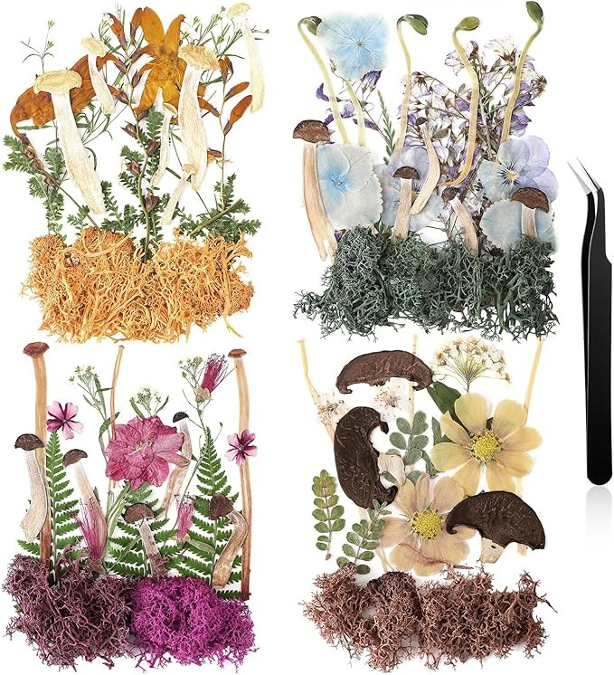 Nuanchu Pressed Flowers Bulk Dried Flower for Crafts, Dried Wildflowers Leave Natural with Tweeze... | Amazon (US)