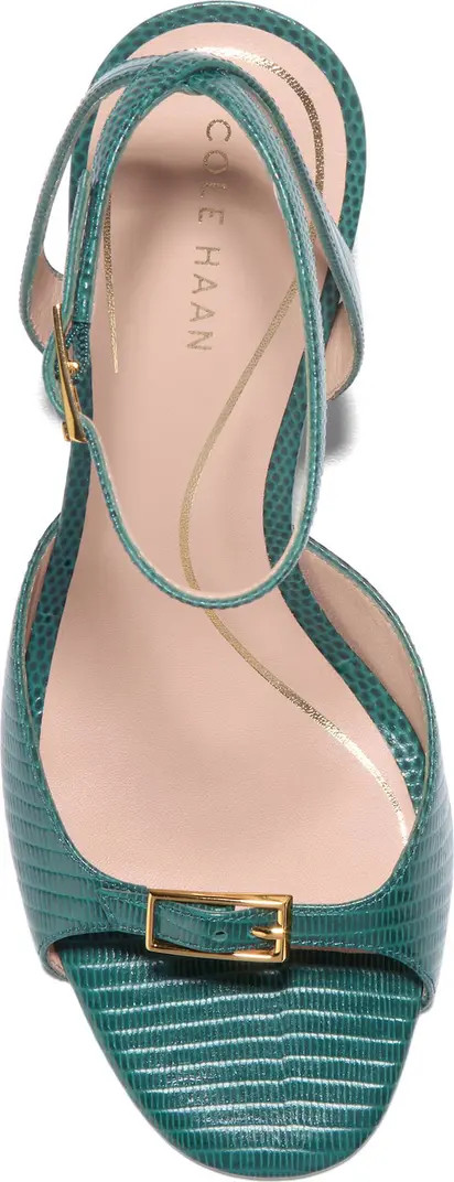 Cole Haan Annalise Ankle Strap Sandal (Women) | Nordstrom | Nordstrom