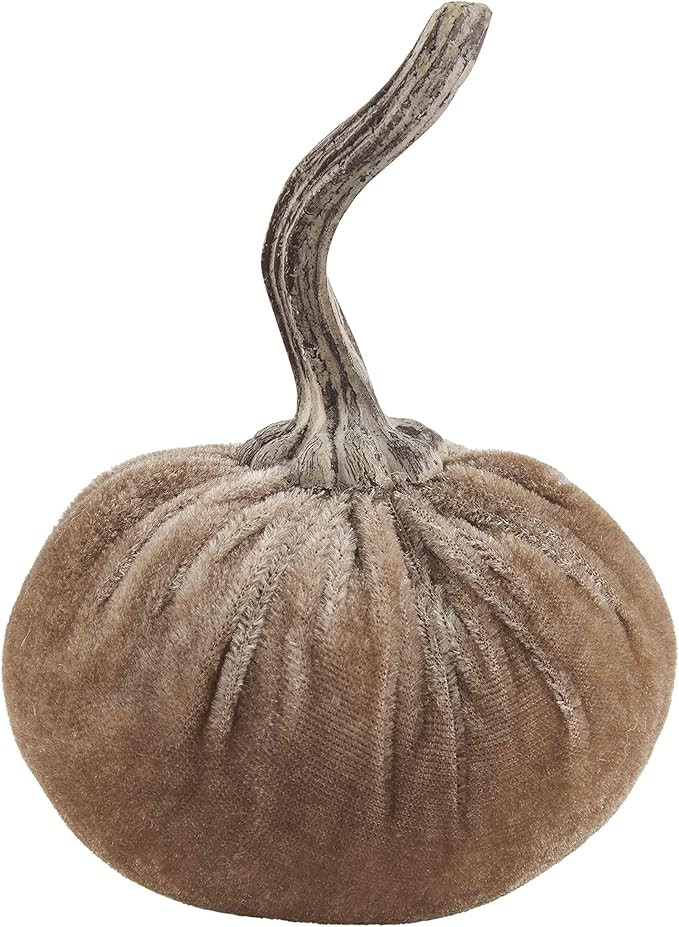 Mud Pie Velvet Pumpkin Vase Filler, 4 1/4" x 4" Dia, Taupe | Amazon (US)