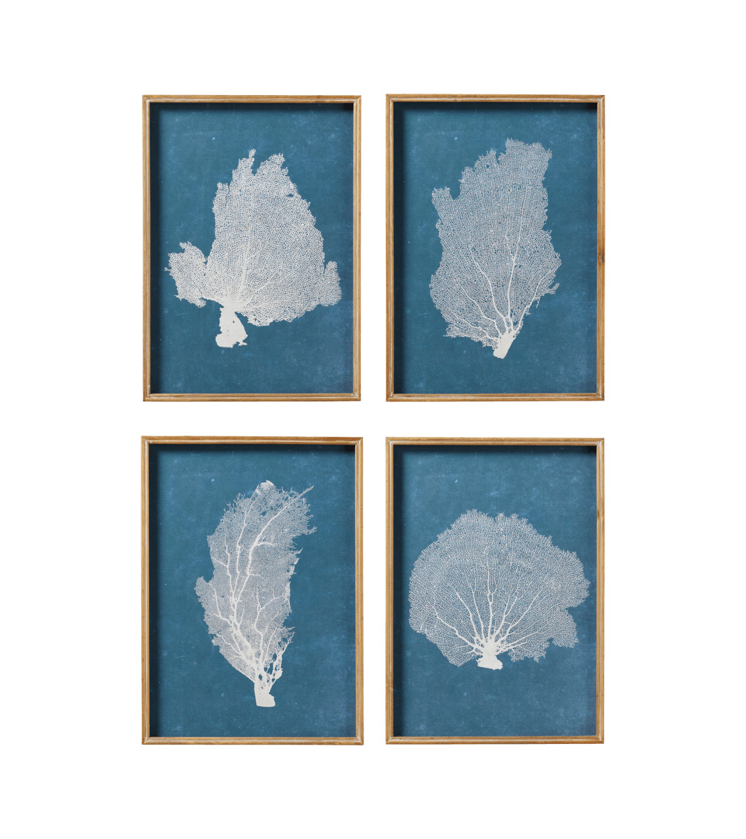 Set of Four Skeleton Coral Prints - Blue/White | OKA UK