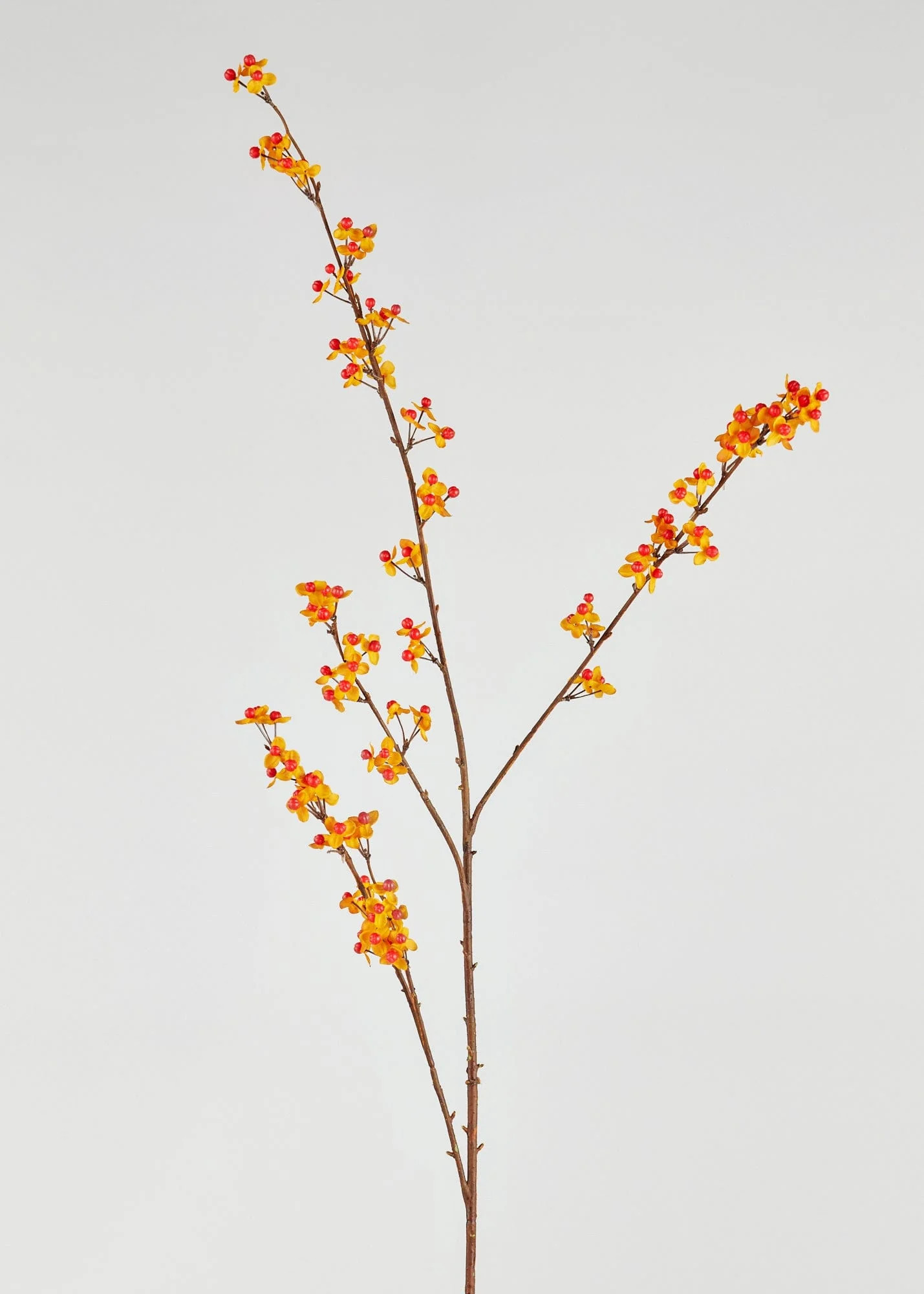 Artificial Bittersweet Branch in Orange - 43" | Afloral