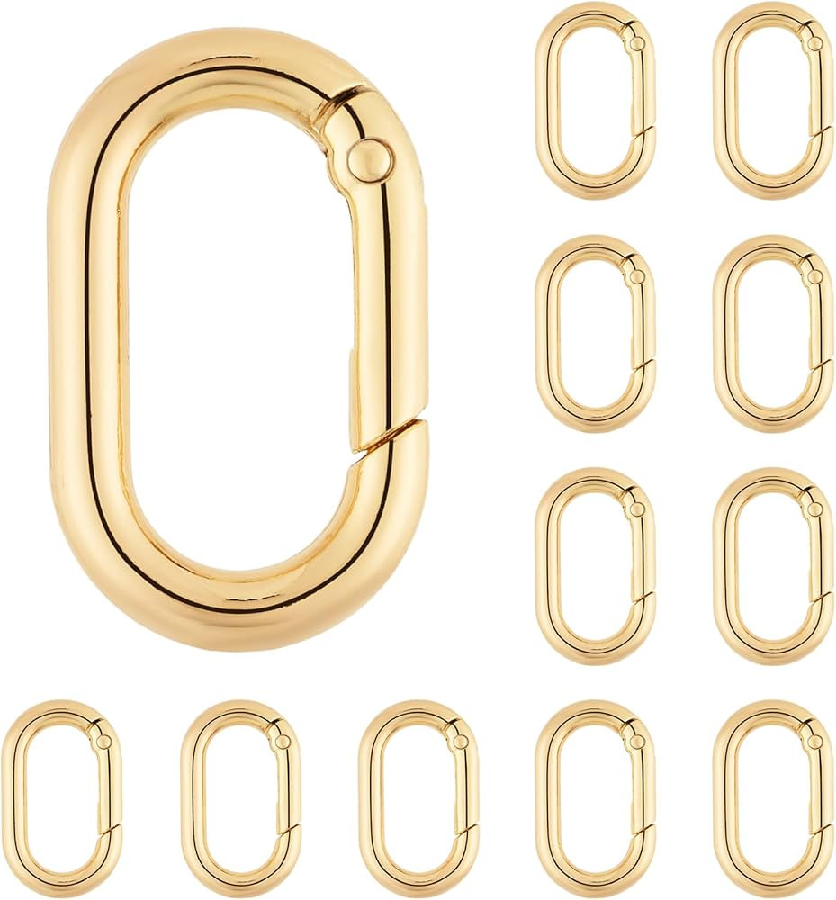 DEVPSISR 12Pack 1 Inch Small Carabiner Spring Hooks Metal Oval Clip for Purse Keychain Replacemen... | Amazon (US)
