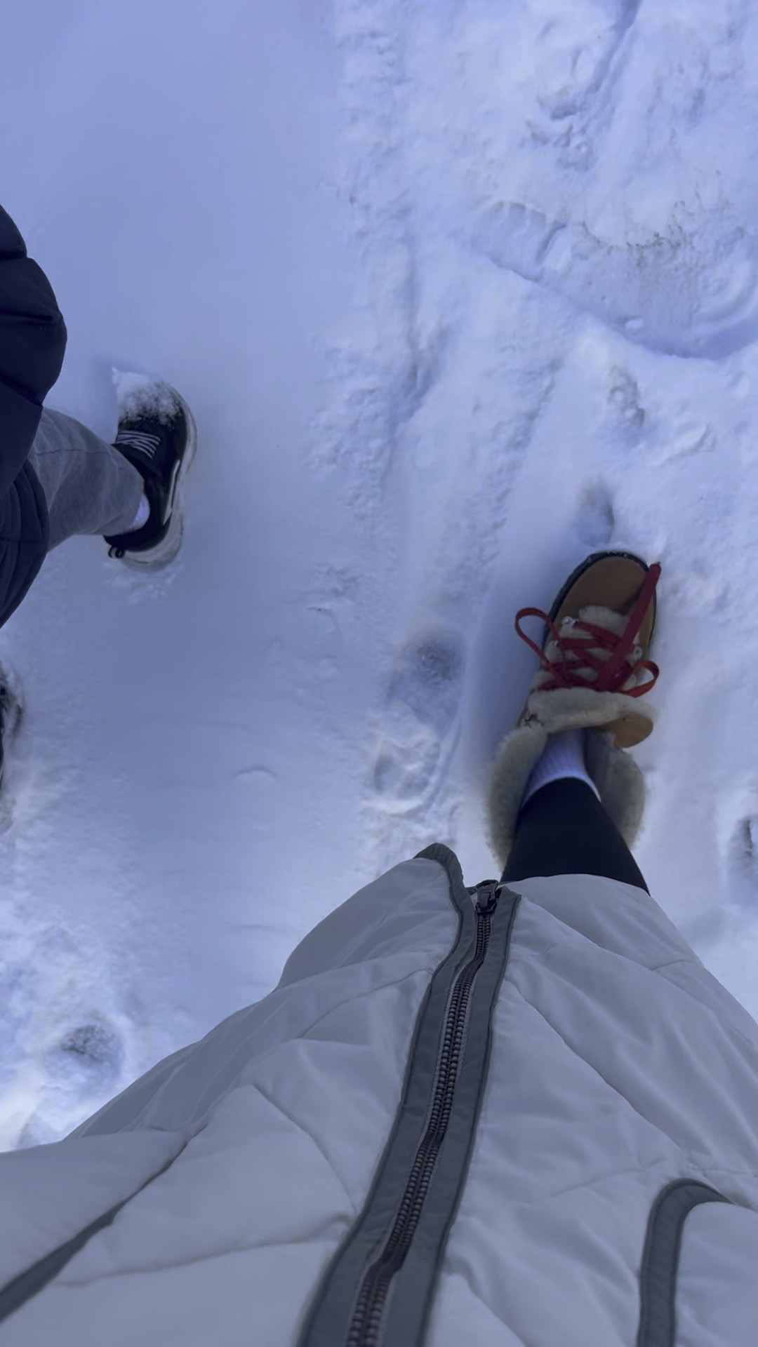 Winter boots! From Jcrew 

#LTKSeasonal #LTKShoeCrush