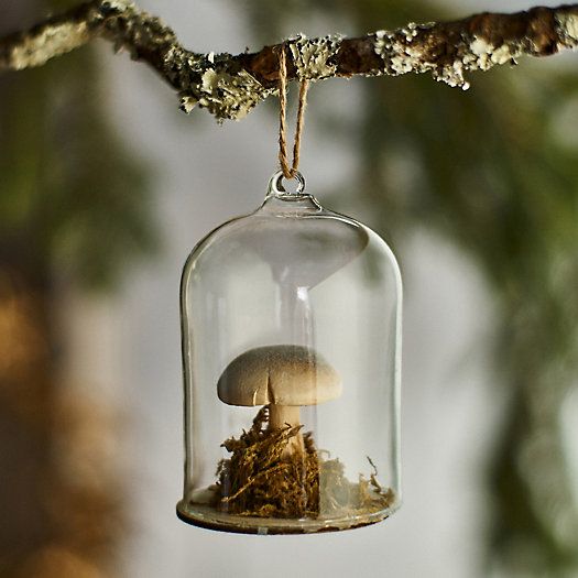 Forest Mushroom Cloche Ornament | Terrain