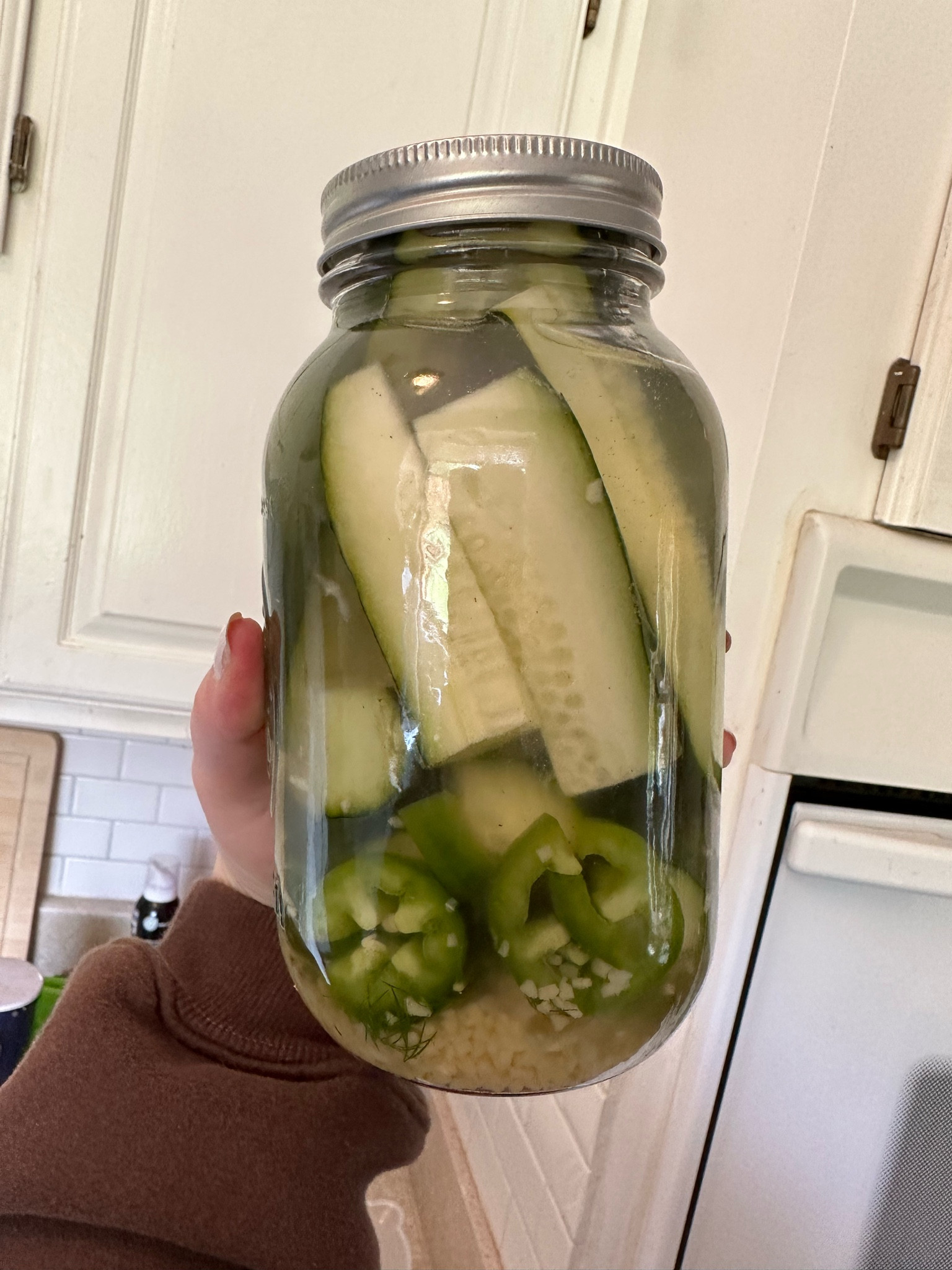 Yummy homemade pickle receipe

2 cups white vinegar 
1 cup water
Little honey
Peppercorn
Fresh dill
Fresh garlic 
Mason jars from amazon 

#LTKstyletip #LTKunder50 #LTKhome