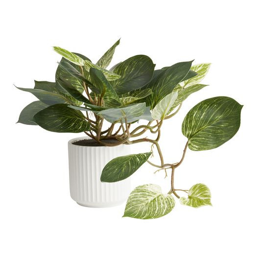 Faux Pothos Plant in White Ceramic Pot by World Market | World Market