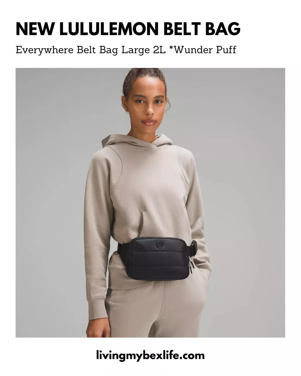 Everywhere Belt Bag Large 2L curated on LTK