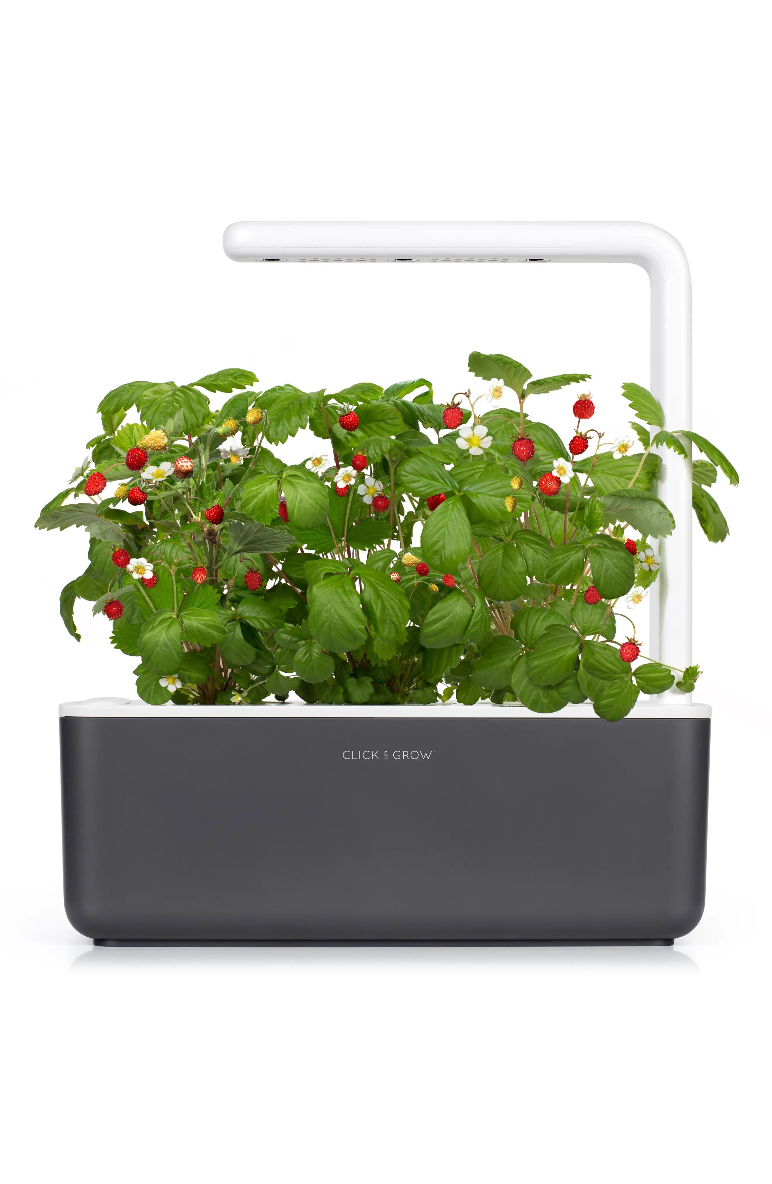 Click & Grow Smart Garden 3 Self Watering Indoor Garden in Grey at Nordstrom | Nordstrom