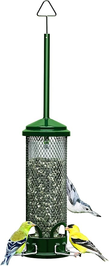 Squirrel Buster Mini Squirrel-Proof Bird Feeder for Wild Birds – 4 Metal Perches, 1 lb Seed Cap... | Amazon (US)