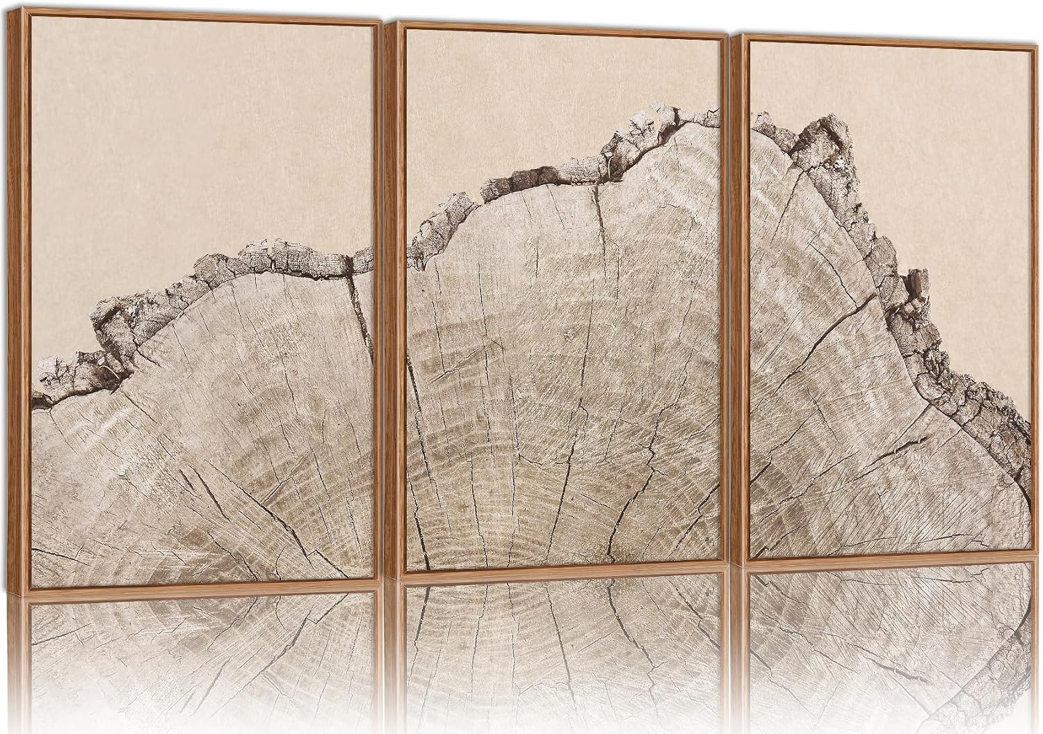 SIGNINART Large Tree Ring Framed Canvas Wall Art Set, Rustic Beige Nature Wooden Wall Decor, Neutral Wood Stump Artwork, Modern Art Prints for Bedroom Living Room Office 24"x36"x3 | Amazon (US)