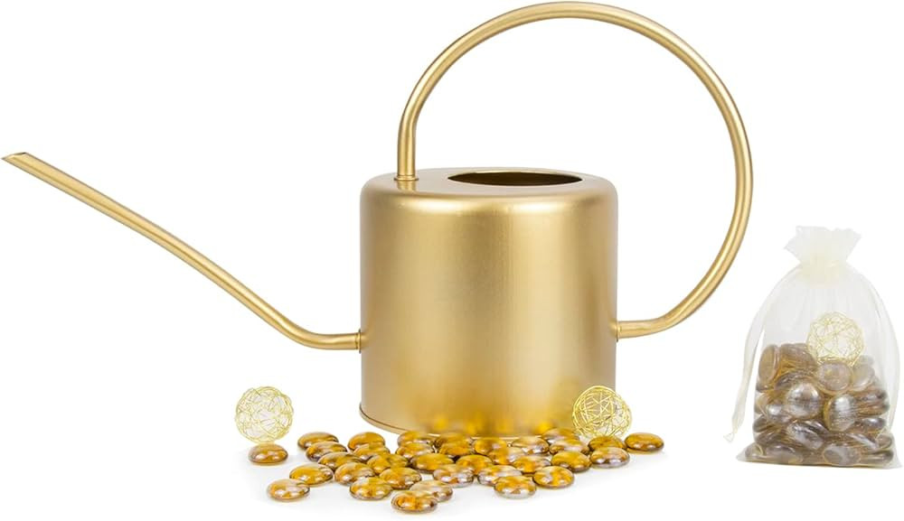 Lechloris Indoor Watering Can for Houseplants- Long Spout Metal Watering Can for Indoor Plants,Su... | Amazon (US)