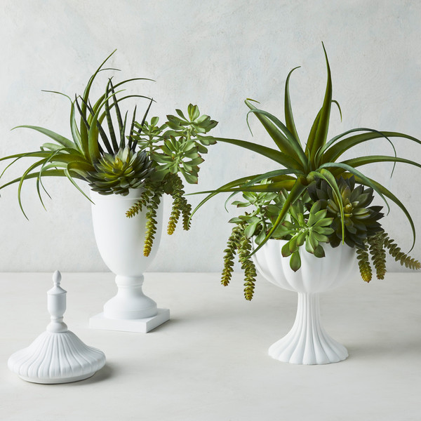 canister | Z Gallerie