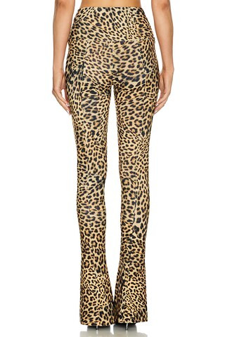 Spat Legging in Cheetah Patch | Revolve Clothing (Global)
