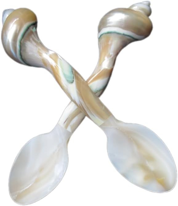 Set of 02 Spoons Shell Spoon Mother of Pearl Caviar Spoons W Round Handle for Caviar, Egg, Ice Cr... | Amazon (US)