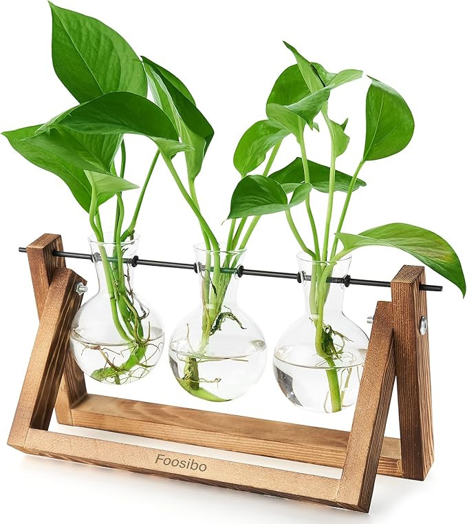 Foosibo Plant Terrarium, Air Plant Terrarium Bulb Vase with Retro Wooden Stand and Metal Swivel H... | Amazon (US)