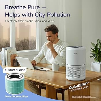 LEVOIT Air Purifier for Home Allergies Pets Hair in Bedroom, Covers Up to 1095 ft² by 45W High T... | Amazon (US)
