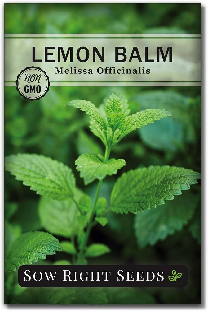 Sow Right Seeds - Lemon Balm Seeds for Planting - Non-GMO Heirloom Packet with Instructions - Eas... | Amazon (US)