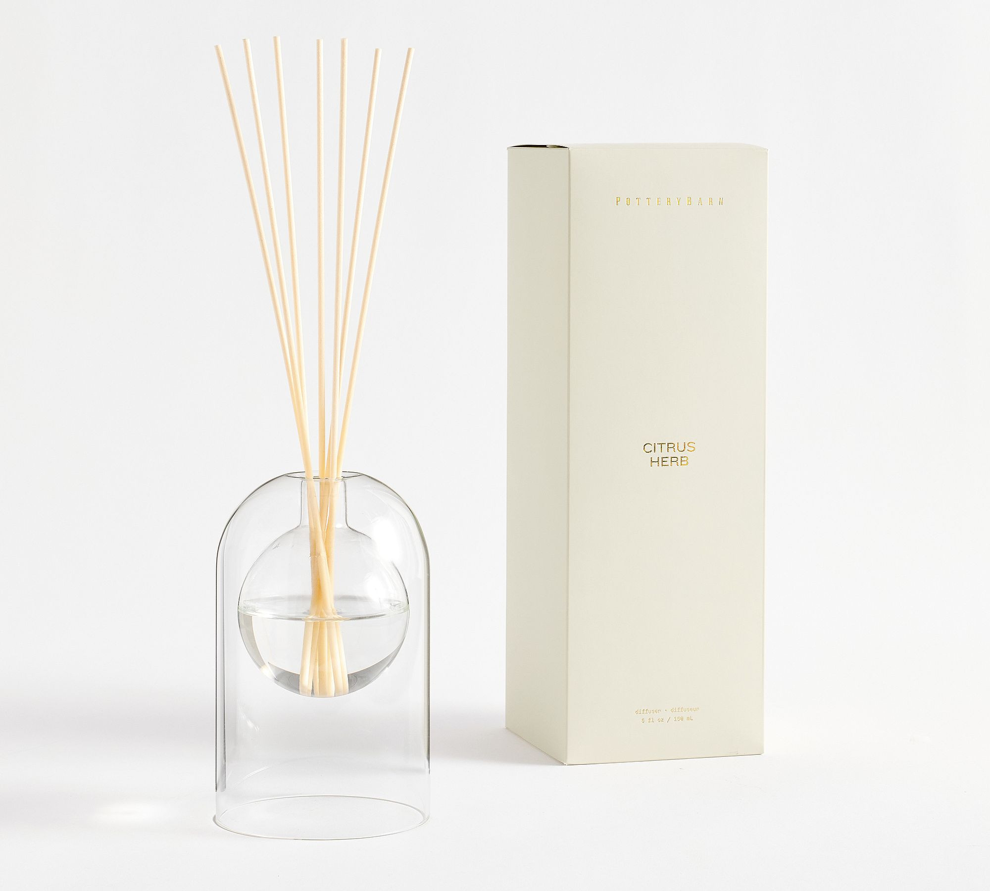 Citrus Herb Scent Collection | Pottery Barn (US)