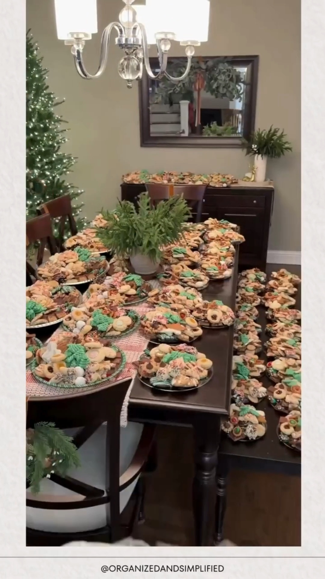 I love baking thousands of Christmas cookies for our family and friends!  This is everything I use to package them up! 

#LTKGiftGuide #LTKfoodie #LTKHoliday