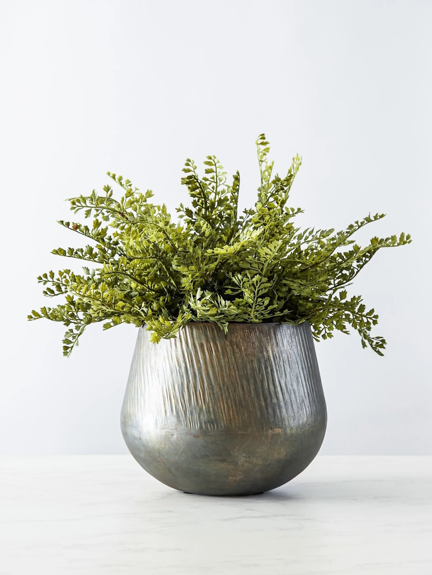 Grounded and organic, this look layers lush greenery with a richly textured metal vase for a warm, lived-in feel. Perfect for those who love neutral spaces with depth and character, it adds visual weight without feeling heavy.

This look includes:
• Champagne Gold Butterfly or Antiqued Metal Vase
• Two Amara Fern Bush (full, gathered styling)

#LTKHome