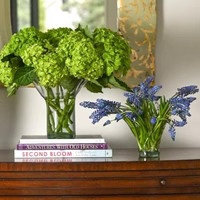 Petite Lettuce Leaf Vase in Clear | Half Past Seven