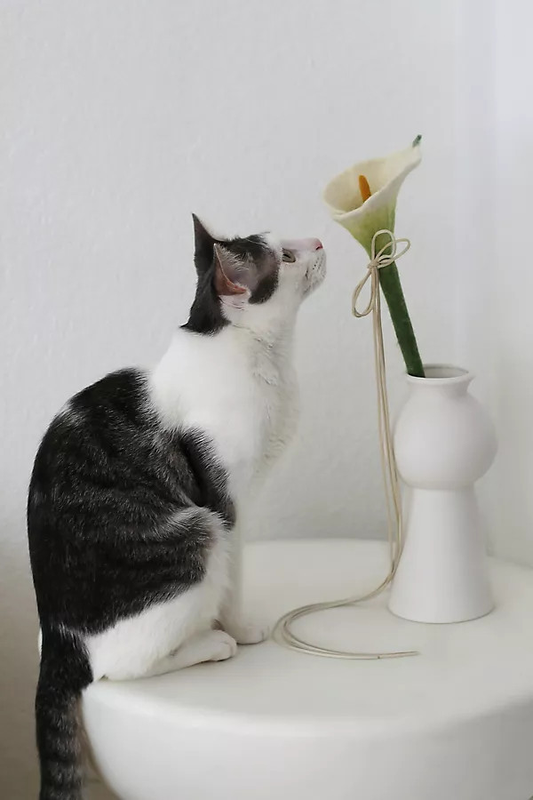 Flora Cat Toy | Anthropologie (US)