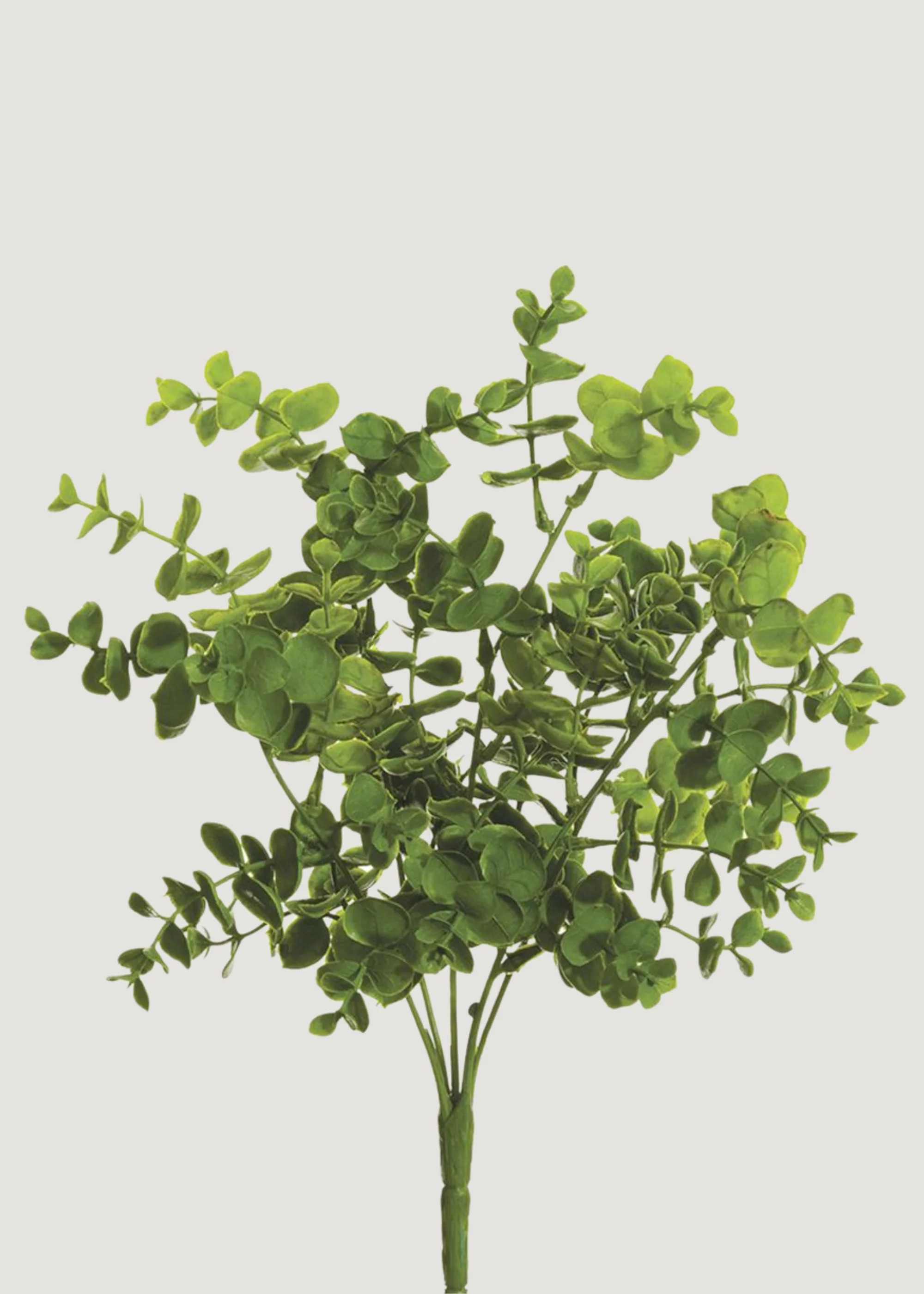 Eucalyptus Leaf Bush | Natural-Looking Fake Plants | Afloral | Afloral
