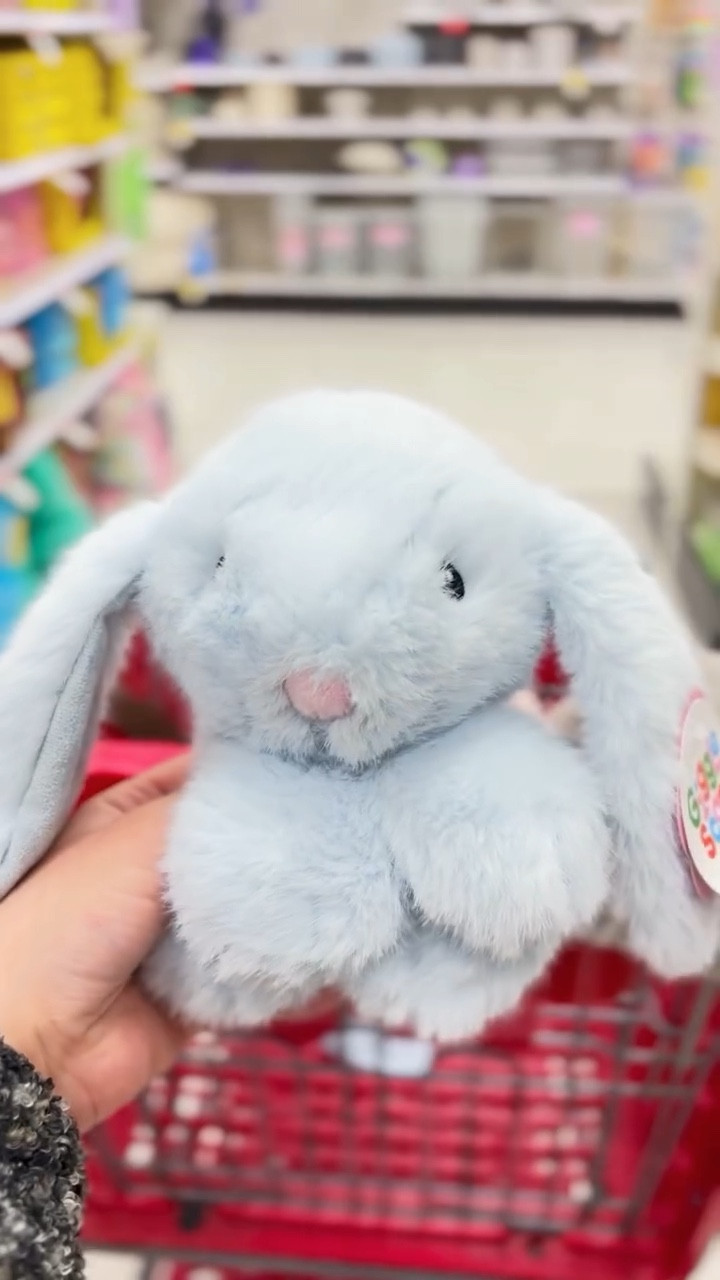 How cute are these viral bunnies from Target?! $5 and perfect for your little one’s Easter basket! 🧺 Comment BUNNY for the 🔗 Be sure to follow along for more Target finds!! 

#viralbunny #newattarget #easterbasket #bunny