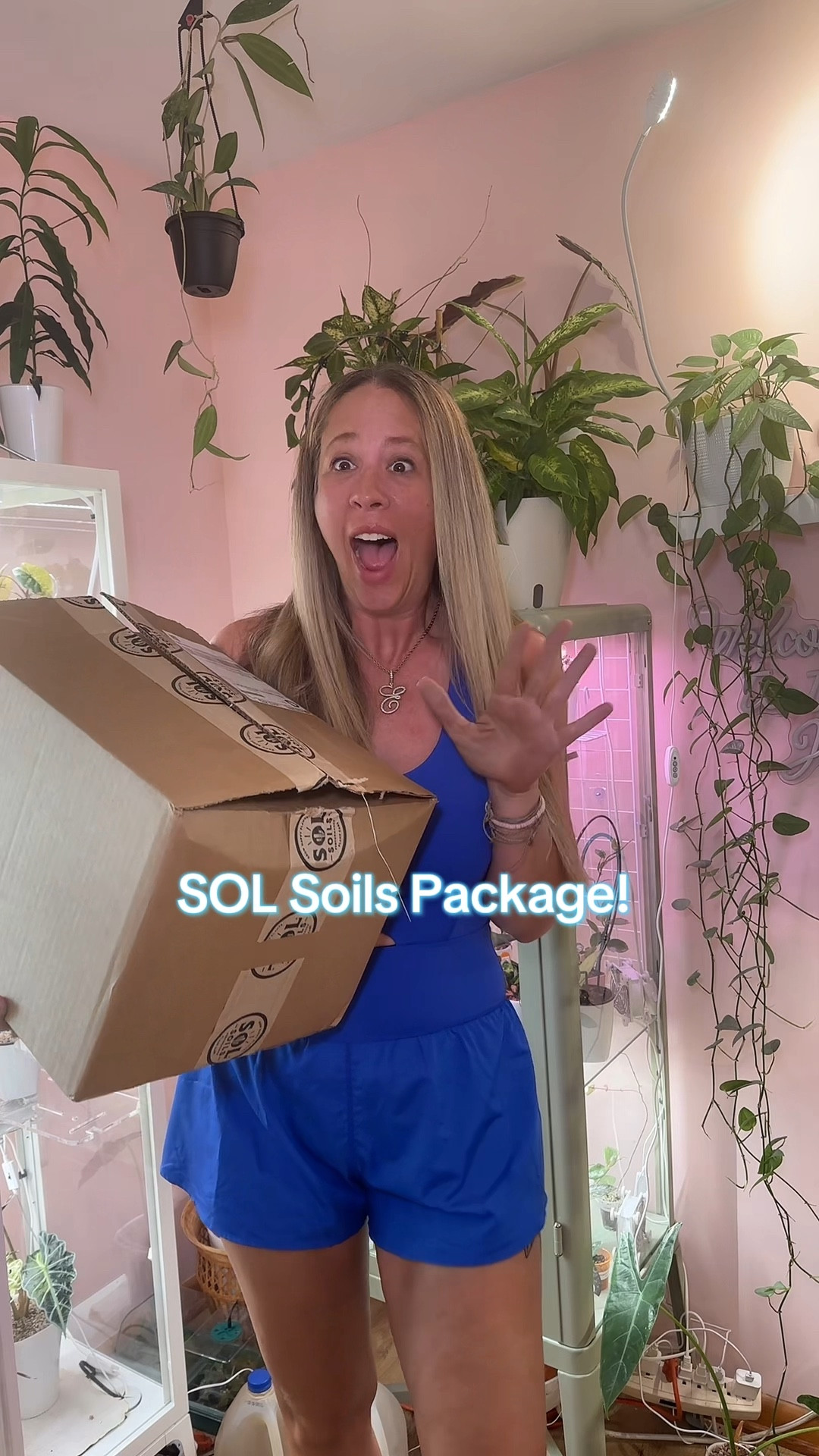 SOL soils package! Plants, indoor plants, houseplants, soil, houseplant soil, lecca, chunky soil blend 

#LTKFindsUnder50 #LTKSeasonal #LTKHome