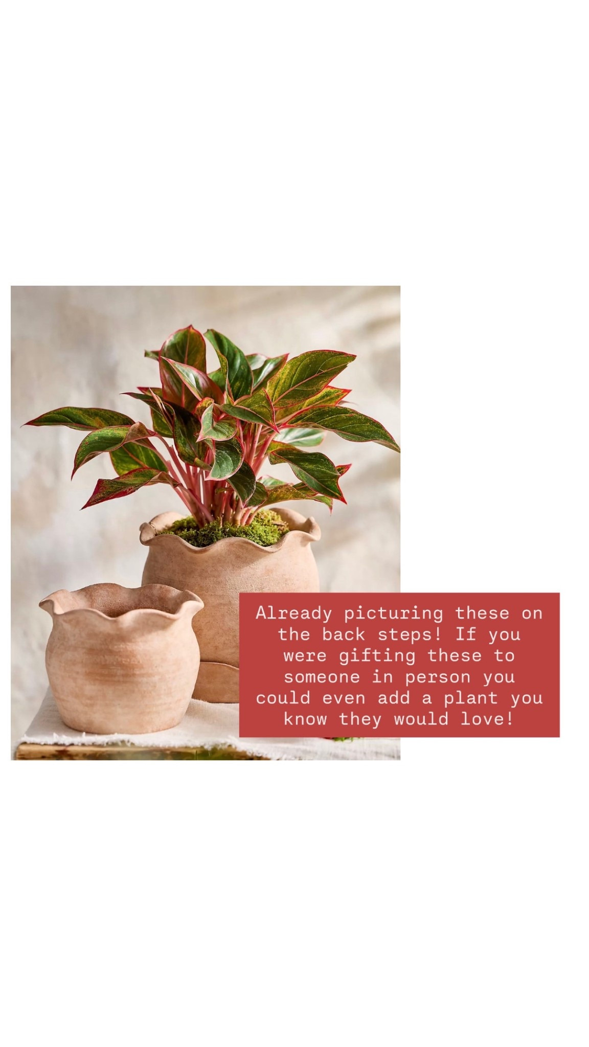 Gifting a planter with a plant is a gift any mom would love to receive! I love the scallop detail on these!

Loverly Grey, Anthropologie, outdoor planter, patio decor, Mother’s Day gift ideas 

#LTKHome #LTKMothersDay