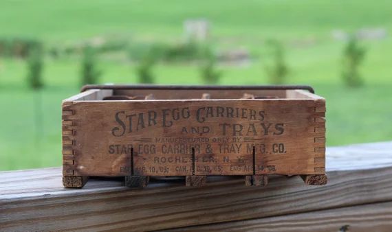 Antique Vintage Star Egg Carrier Two Dozen | Etsy (US)