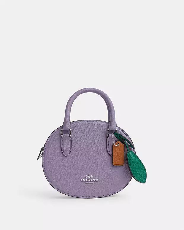 Blueberry Crossbody | Coach Outlet