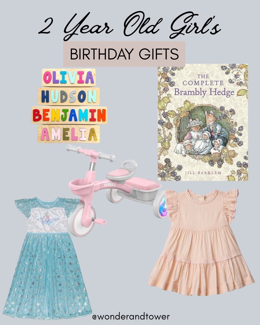 2 Year Old Girls Birthday Gifts

#LTKKids #LTKFindsUnder50 #LTKFamily