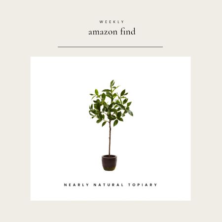Weekly Amazon Find: Nearly Natural Topiary …Super Convincing When Styled Near A Window 

#LTKstyletip #LTKhome